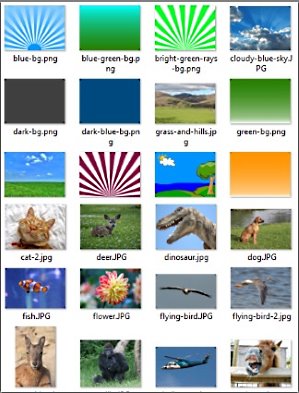 Funny Photo Layers Pics