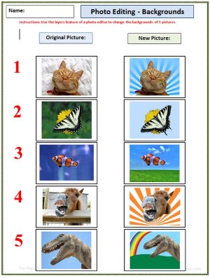Funny Photo Layers - Finished Example