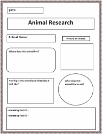 project based lesson plan template