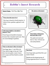 Preservation Vs Conservation Essay Kentucky