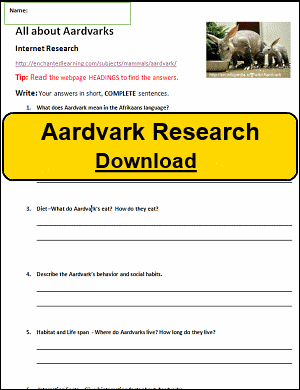 Aardvark Research
