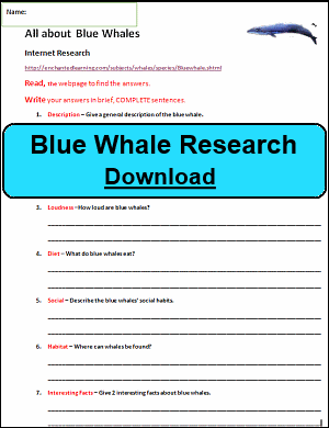 Blue Whale Research Sheet