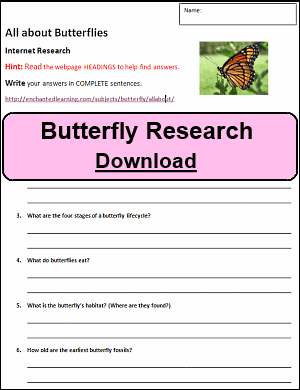 Butterfly Research