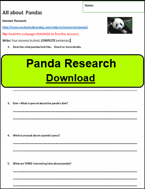 Panda Research Sheet