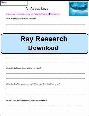 Ray Research Sheet