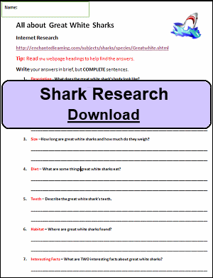 Shark Research Sheet