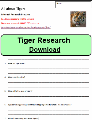 Tiger Research Sheet