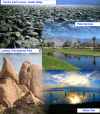 Desert Region