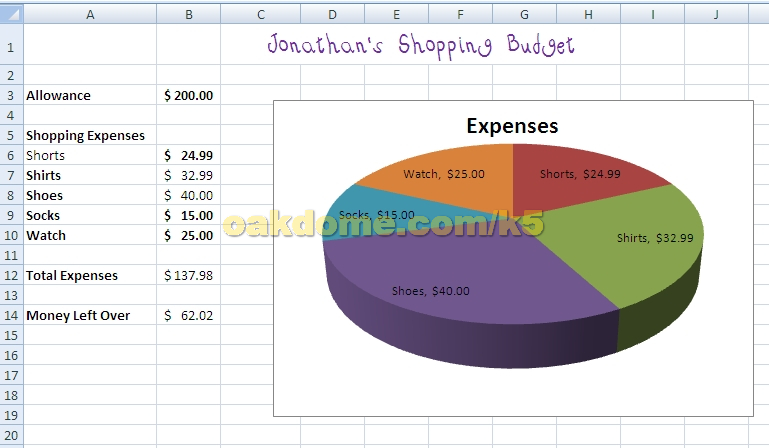 Excel Shopping Budget with Chart 