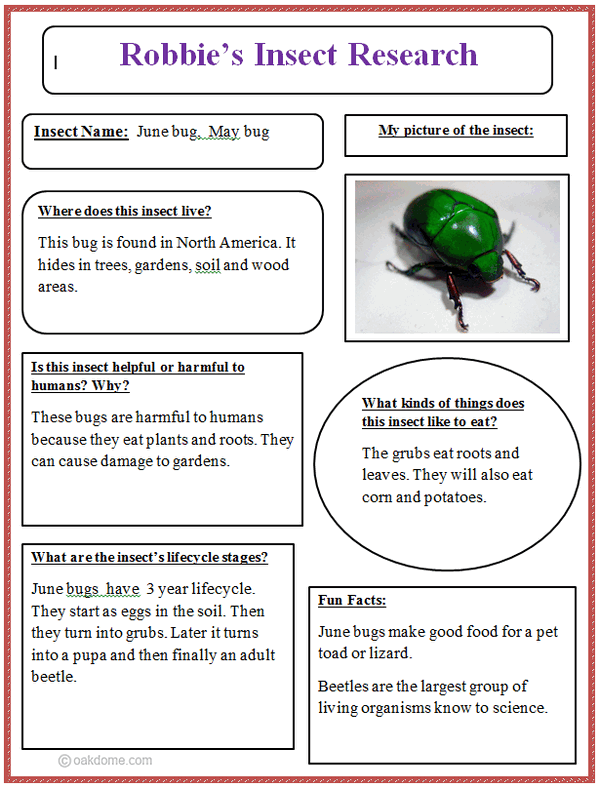 Cause and effect paper ideas