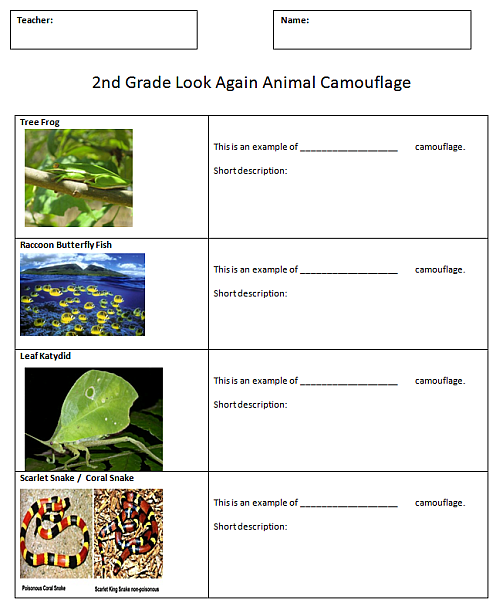 Technology  Lab Camouflage Computer worksheets mimicry K  Lessons Comic animal 5 Animal