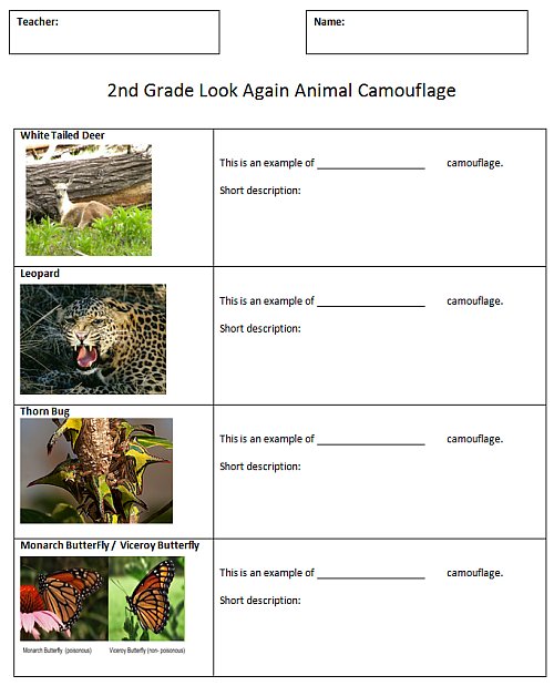 animal worksheets Comic  Camouflage Technology Animal mimicry   K 5 Lab Computer Lessons