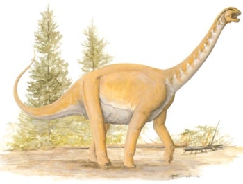 sauropod dinosaur