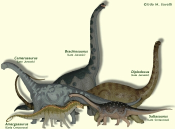 sauropod dinosaur