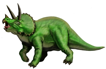 Triceratops Dinosaur