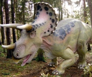 Triceratops Dinosaur