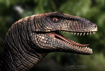 Velociraptor Dinosaur
