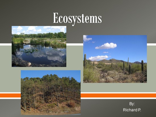 Ecosystems Powerpoint