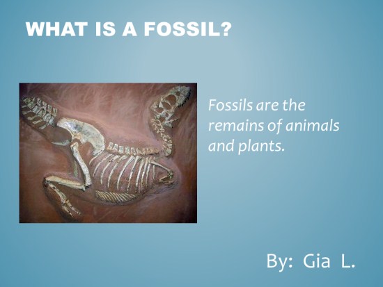 2nd grade fossil lesson plans