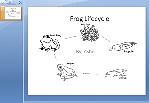 frog lifecycle