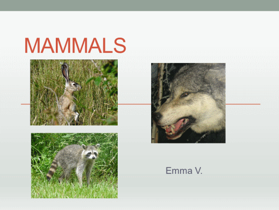 Mammals - SJL Plymouth Tech Page