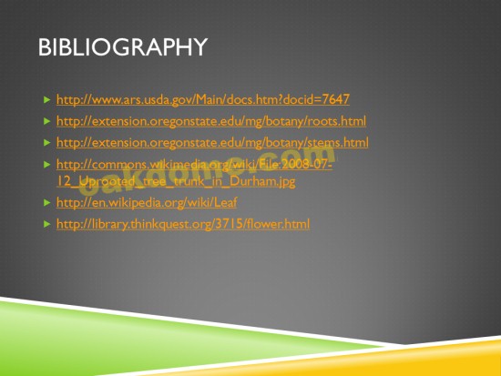 Powerpoint Bibliography