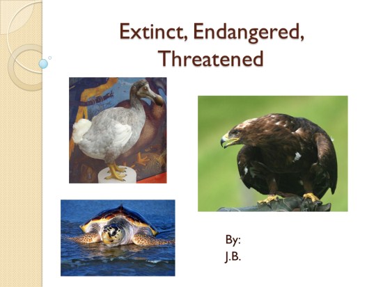 Extinct, Endangered, - SJL Plymouth Tech Page