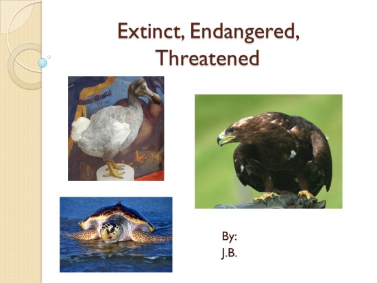 threatened animals list