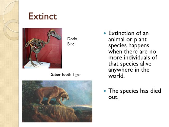 top-193-extinct-animals-powerpoint-lifewithvernonhoward