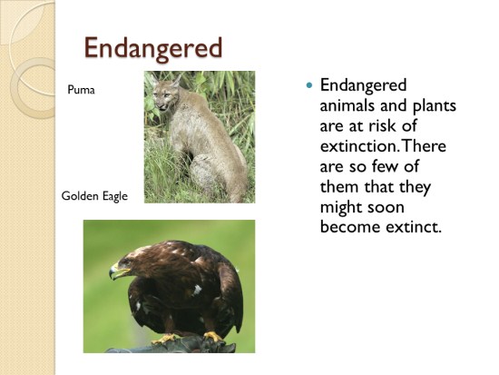 Extinct, Endangered, - SJL Teacher Professional Development