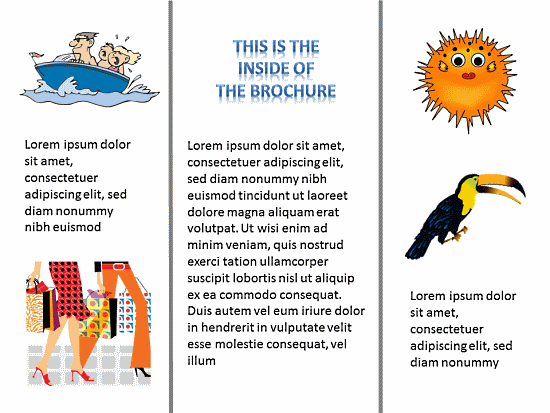 solar system brochure student projects