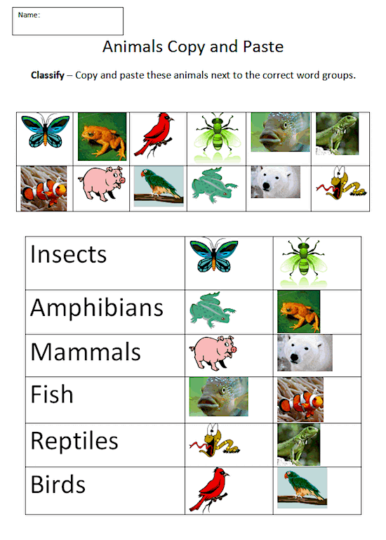 Classify Animals Worksheet