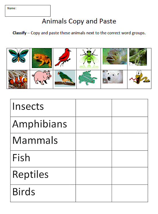 worksheet worksheet  taxonomy animal Classification Animal