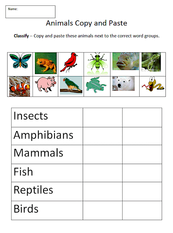 activity animal  worksheets and Computer Animals   Copy  Technology  Classifying Paste 5 Lab  K