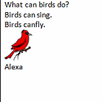 First Grade Writing Lesson - What Can Birds Do?
