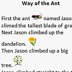 First Grade Writing Lesson - Way of the Ant