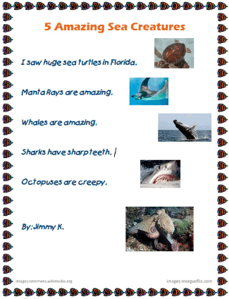 5 Amazing Sea Creature