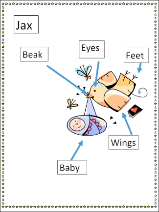 Bird Body Parts Diagram Activity