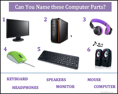 Parts of a Computer Diagram  Computer lessons, Computer basics, Teaching  computers