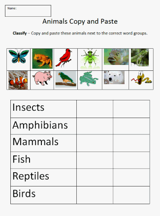 Copy and Paste Animal Classification