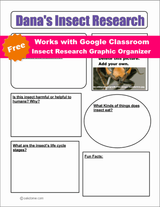 Google Classroom - Insect Research Graphic Organizer