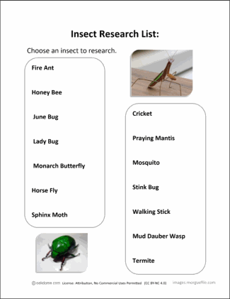 Google Classroom - Insect Research List