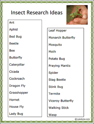 Insect Research Ideas