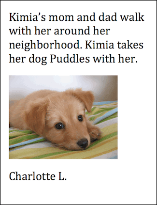 Neighborhood Dog Walking