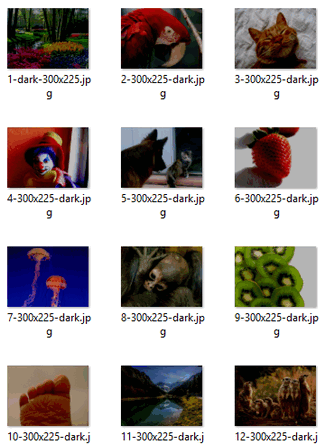 Photo Editing - Brightness - Contrast Practice Pics