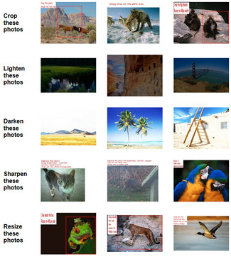 Photo Editing Photos