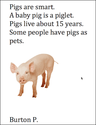 Word Processing Practice - Pigs are Smart