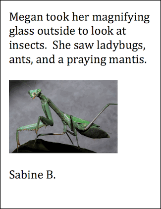 Praying Mantis