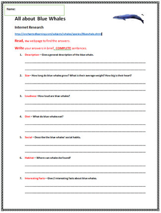 Whale Research Activity Sheet