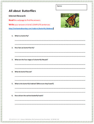 Download: Butterfly Research - 2nd Grade
